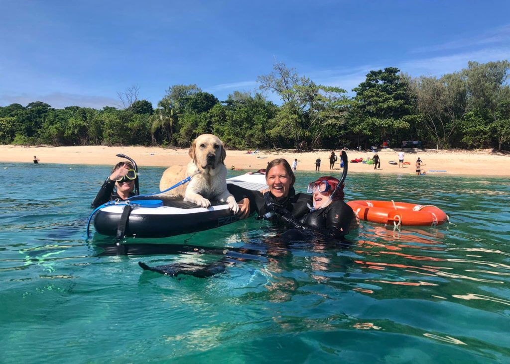 assistance dog on the frankland islands
