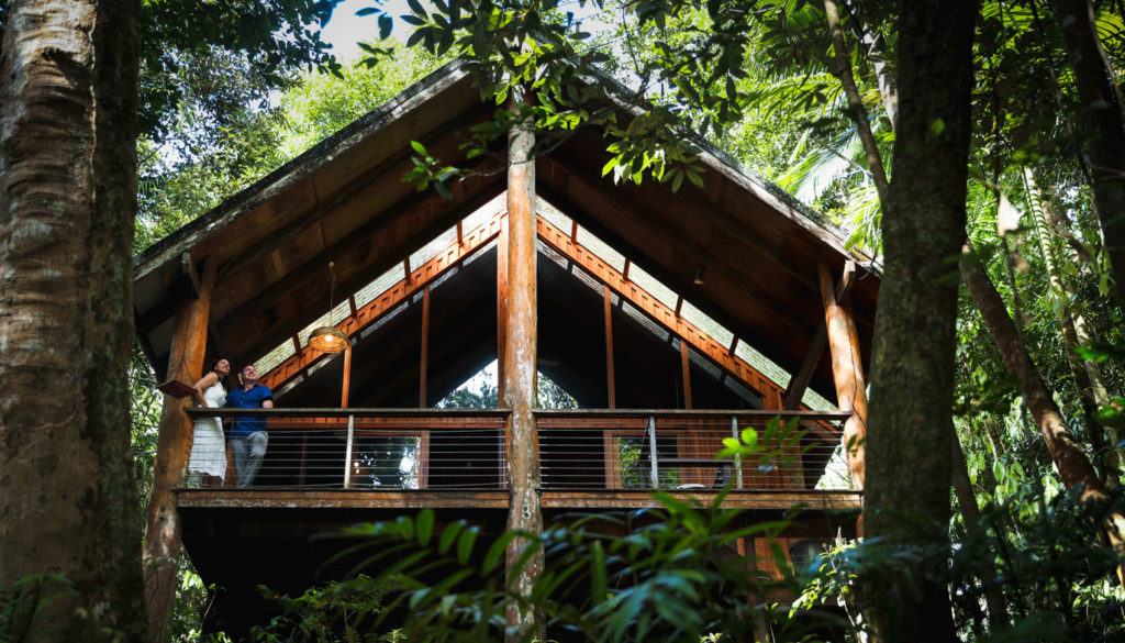 atherton tablelands canopy treehouses
