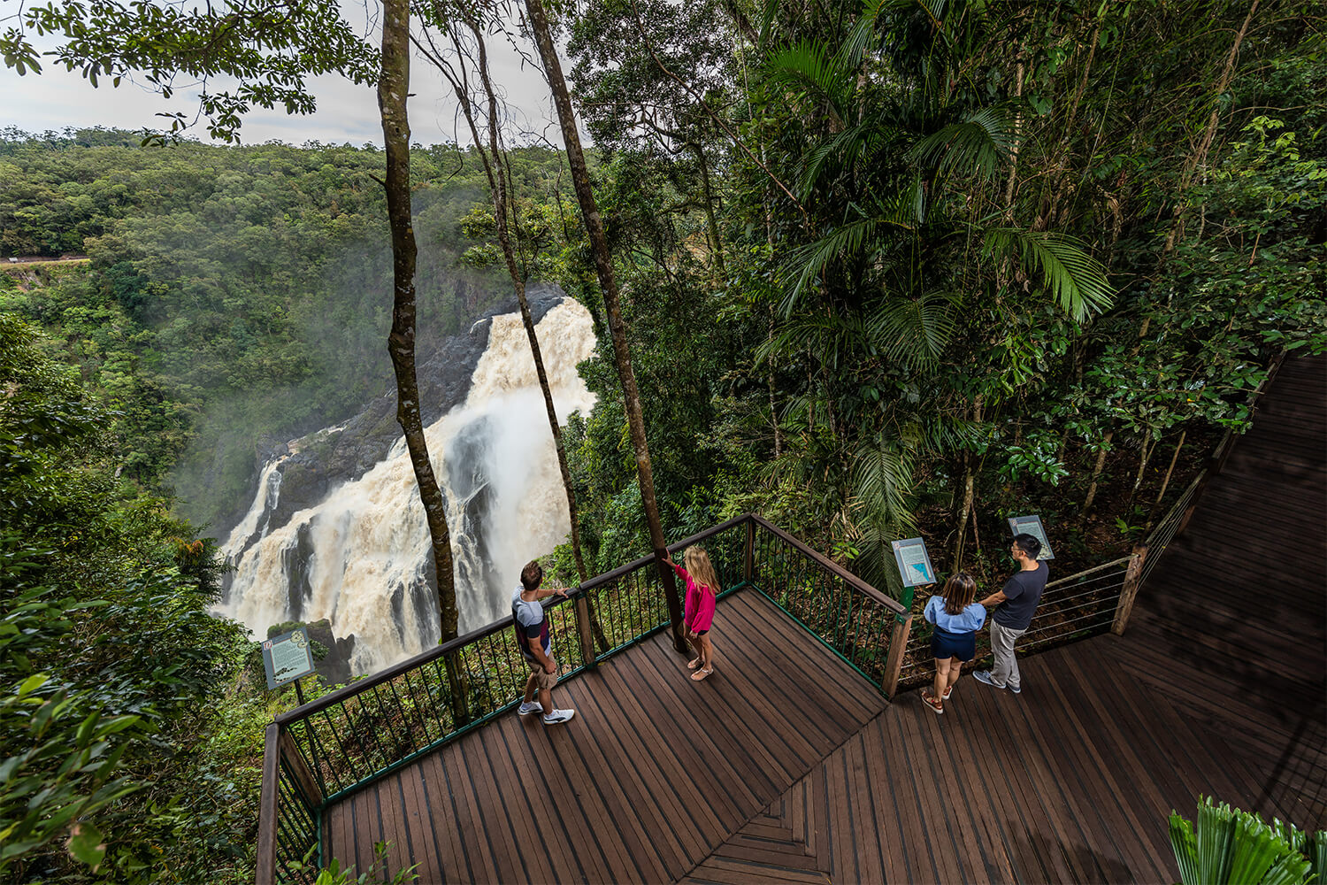 barron falls boardwalk skyrail