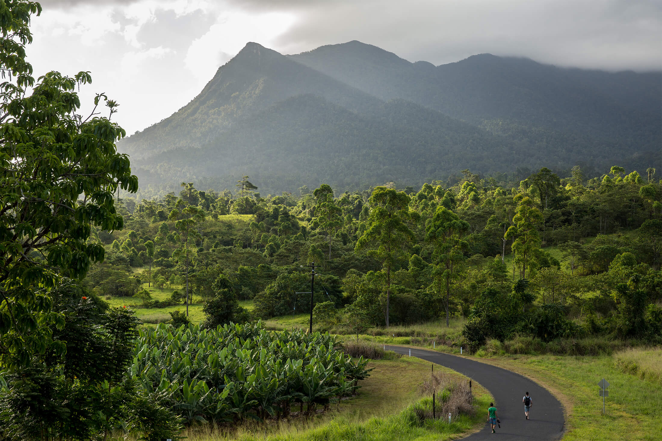 Mount Bartle Frere
