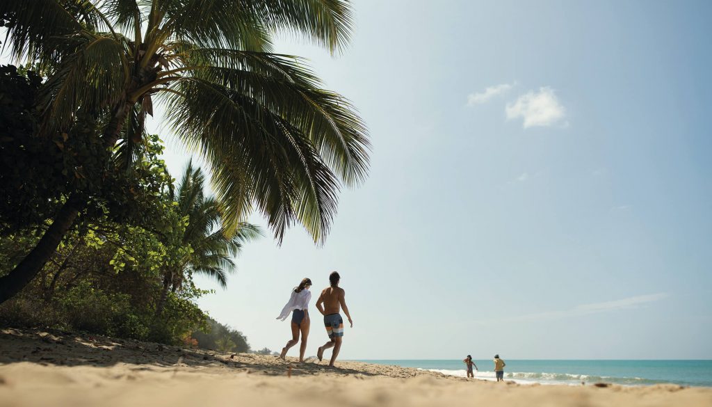 Ellis Beach