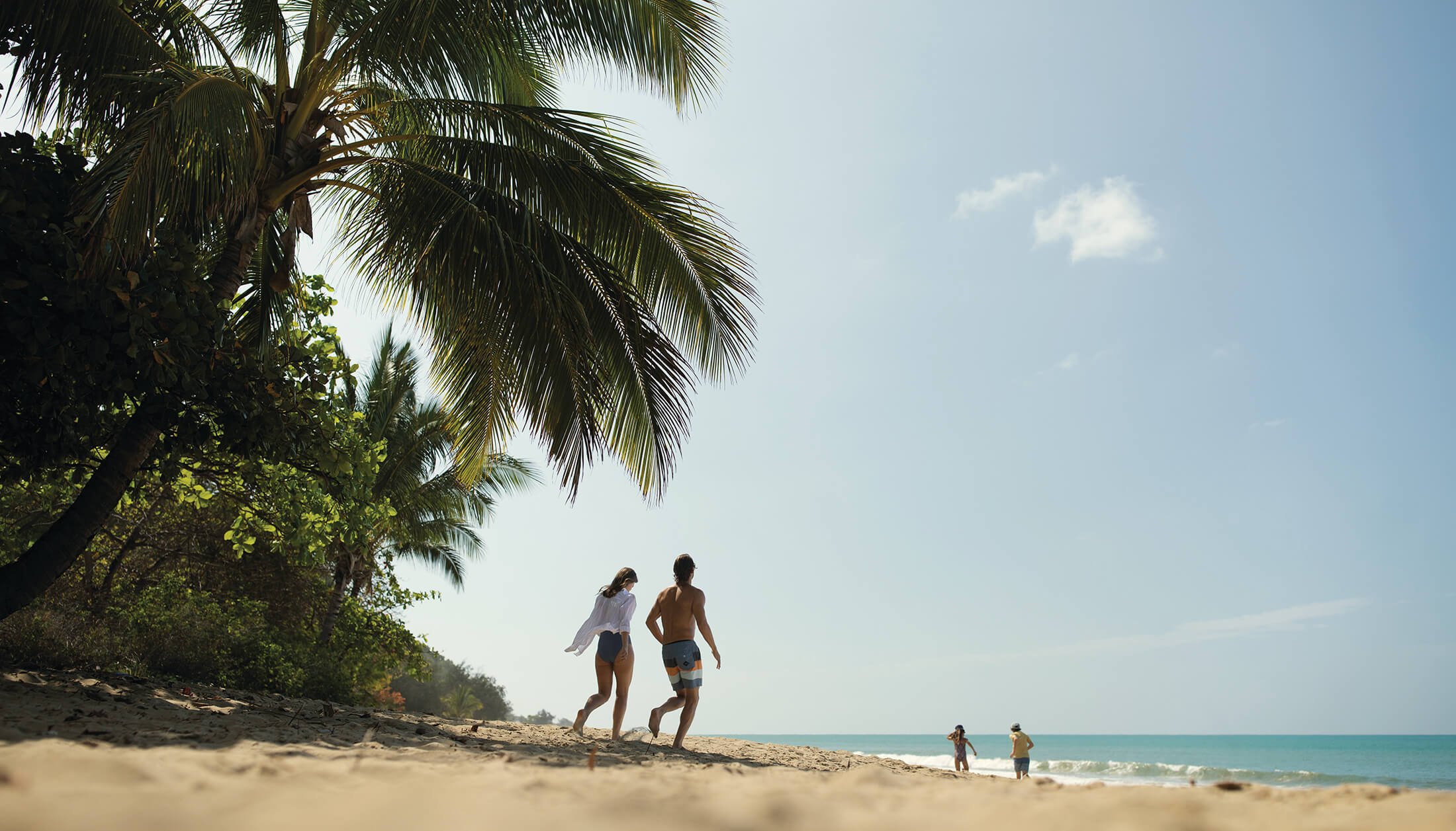 Ellis Beach