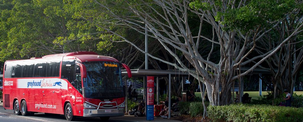 Greyhound bus in Cairns