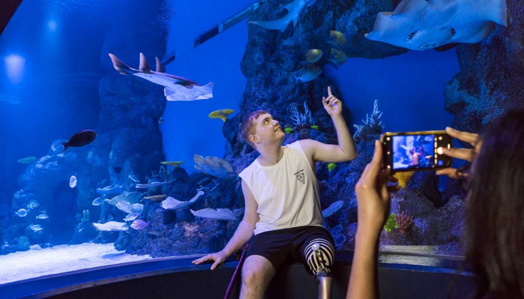 cairns aquarium out there travel care