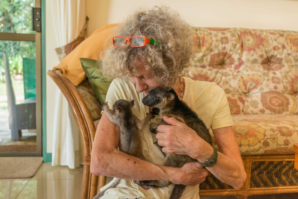 carer with tree kangaroos at lumholtzs lodge