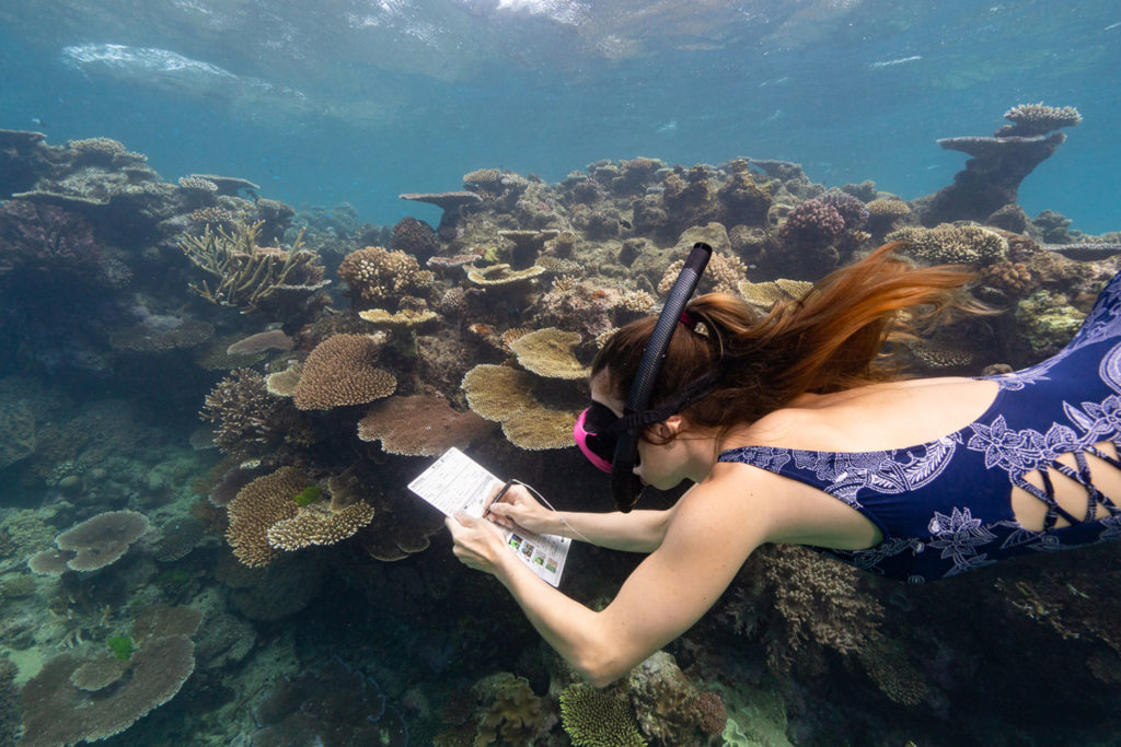 woman assessing the health of the Great Barrier Reef through the Great Barrier Reef Marine Park Authority’s Eye on the Reef Rapid Monitoring