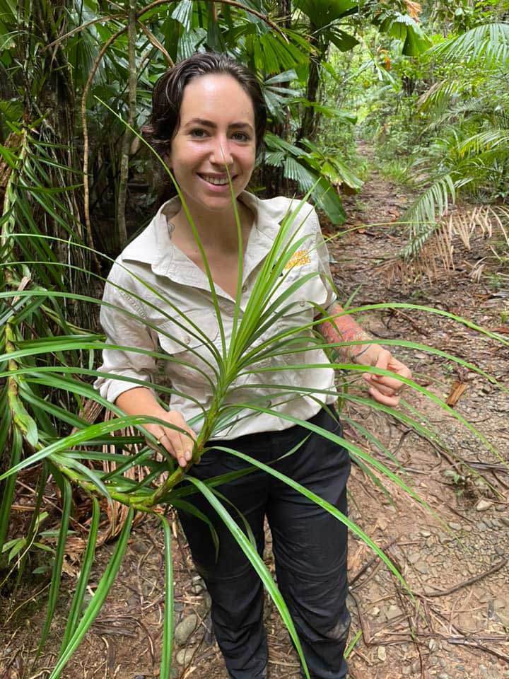 climbing pandan cape tribulation