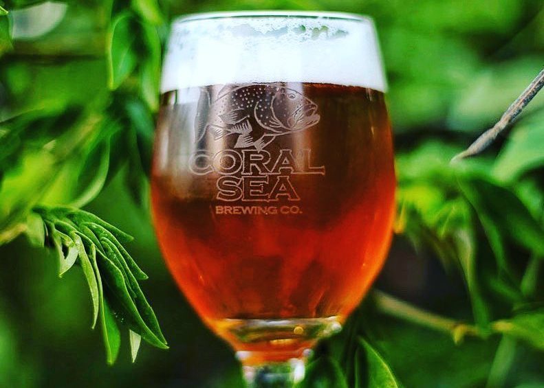 coral sea brewing