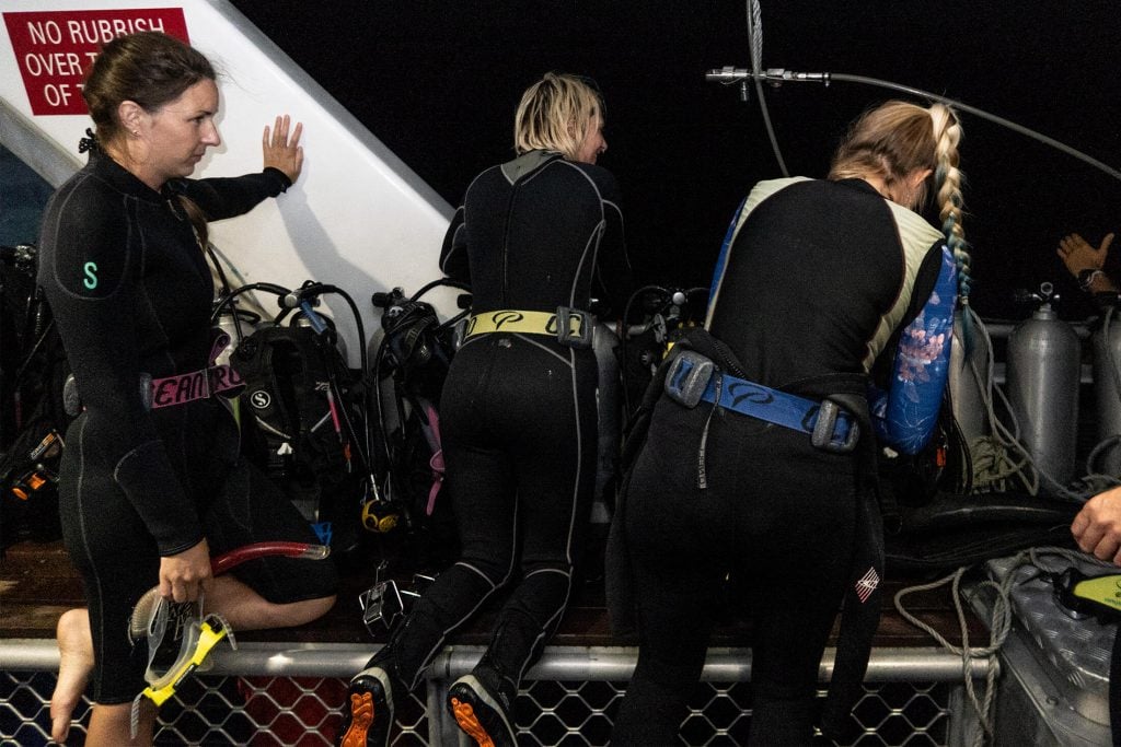 Coral spawning divers