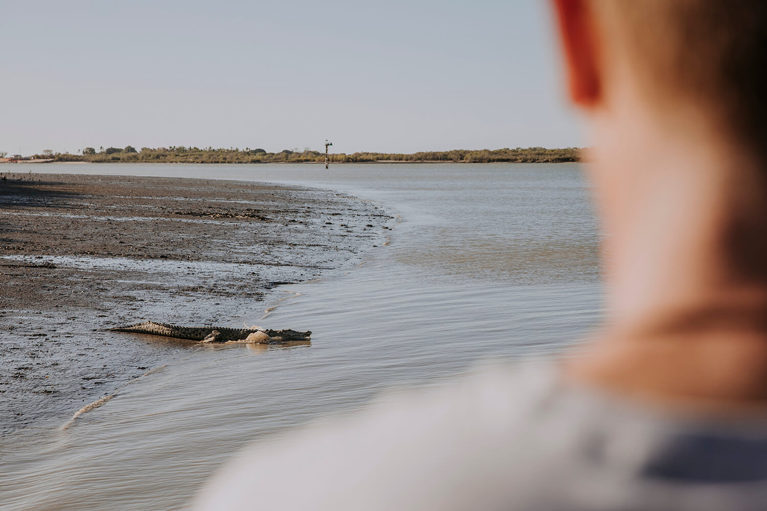 Croc and Crab Tours Karumba