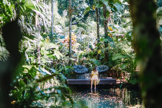 Daintree Eco Lodge