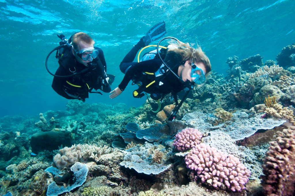 Diving at Moore Reef - Sunlover