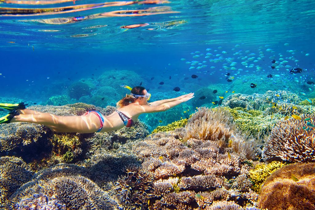 Snorkelling with Divers Den