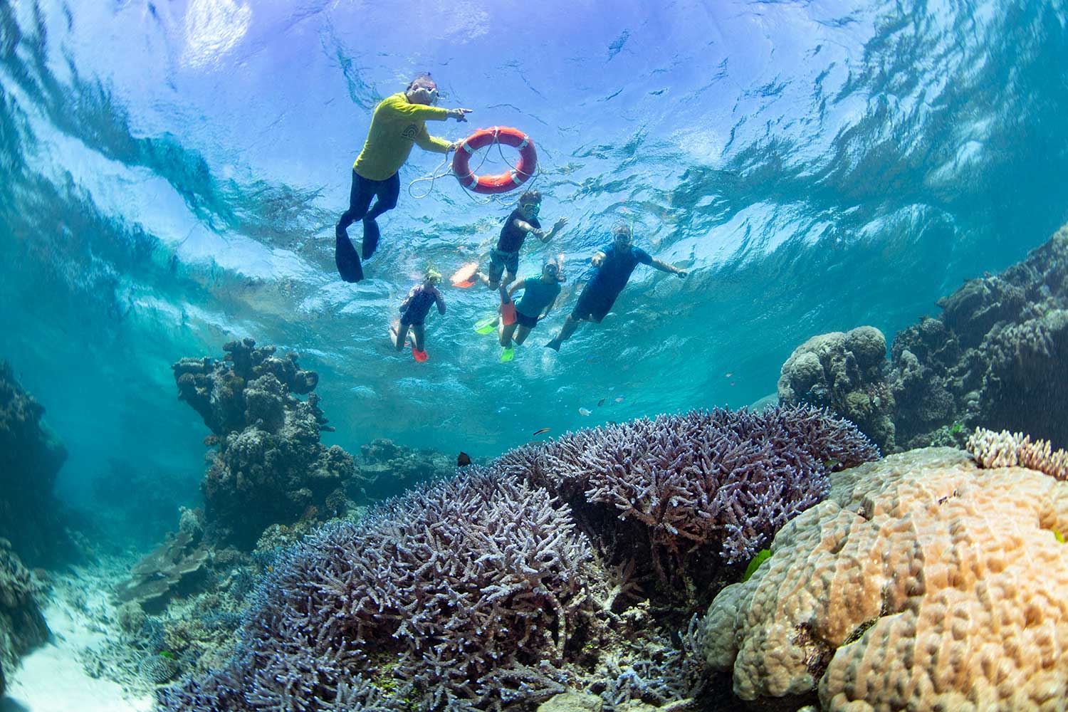 dreamtime dive and snorkel deal