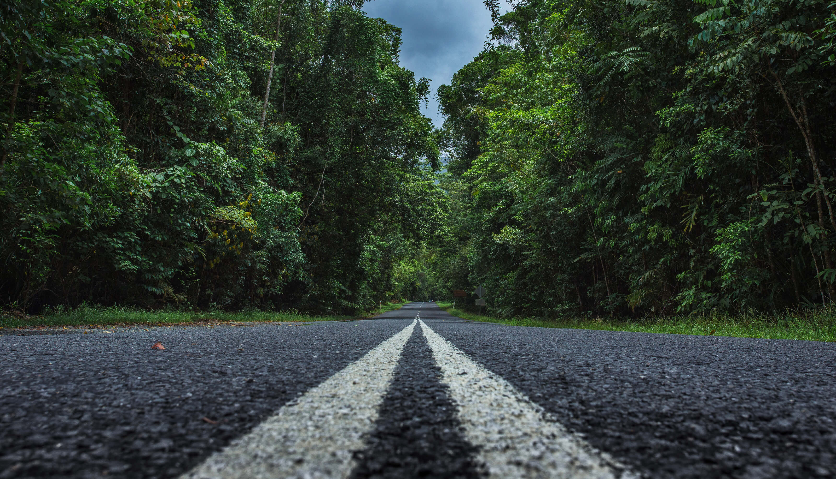 Driving in Cape Tribulation