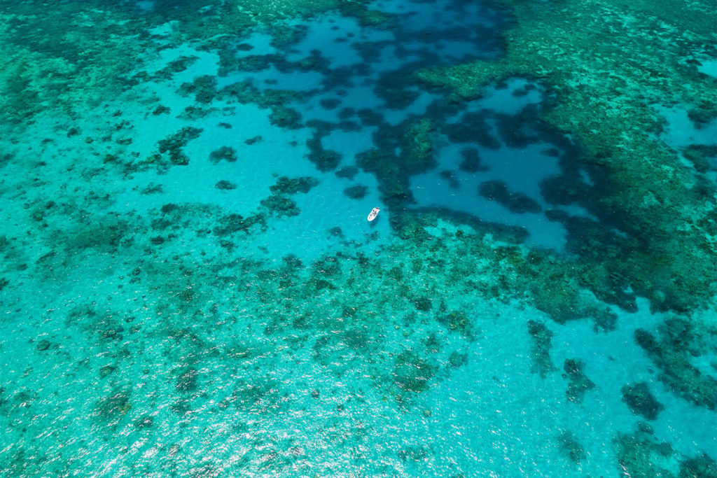 Aerial of Great Barrier Reef on East Coast Angling fishing charter off Port Douglas