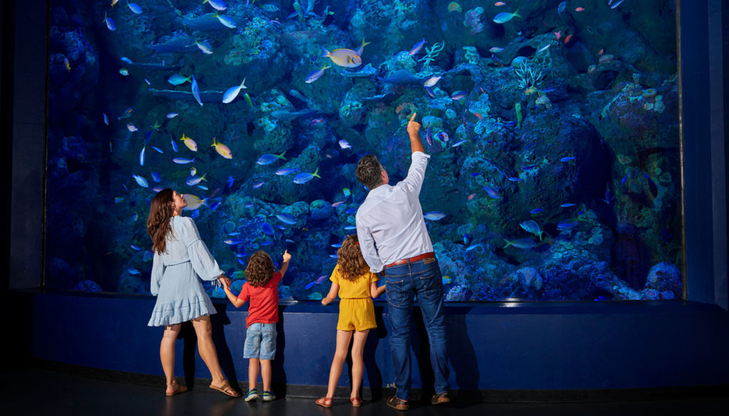 family at cairns aquarium