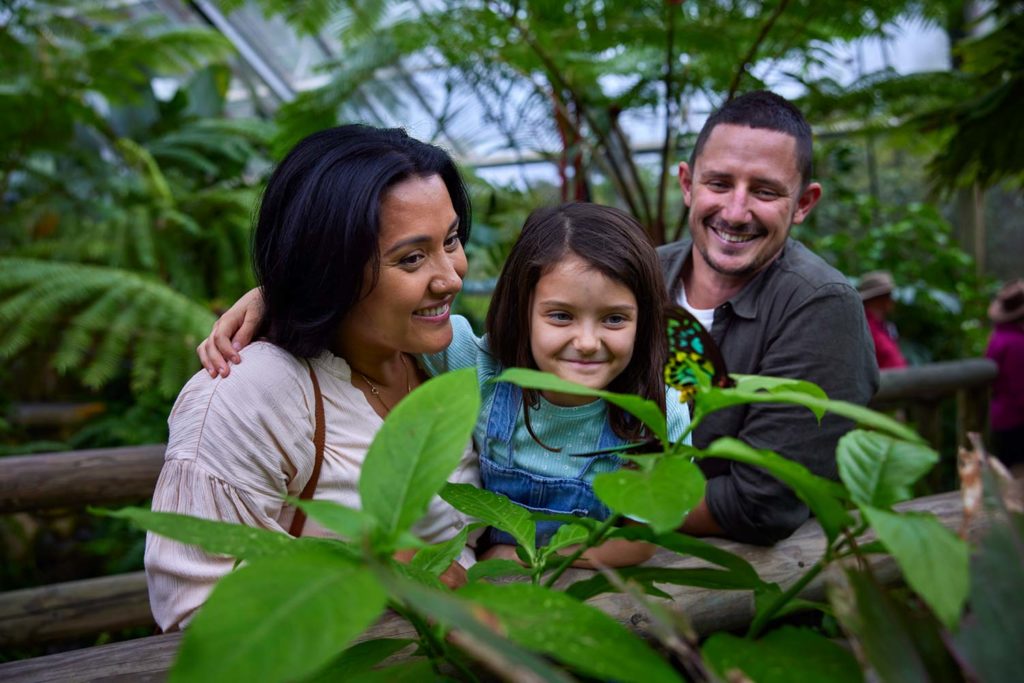 family at the australian butterfly sanctuary