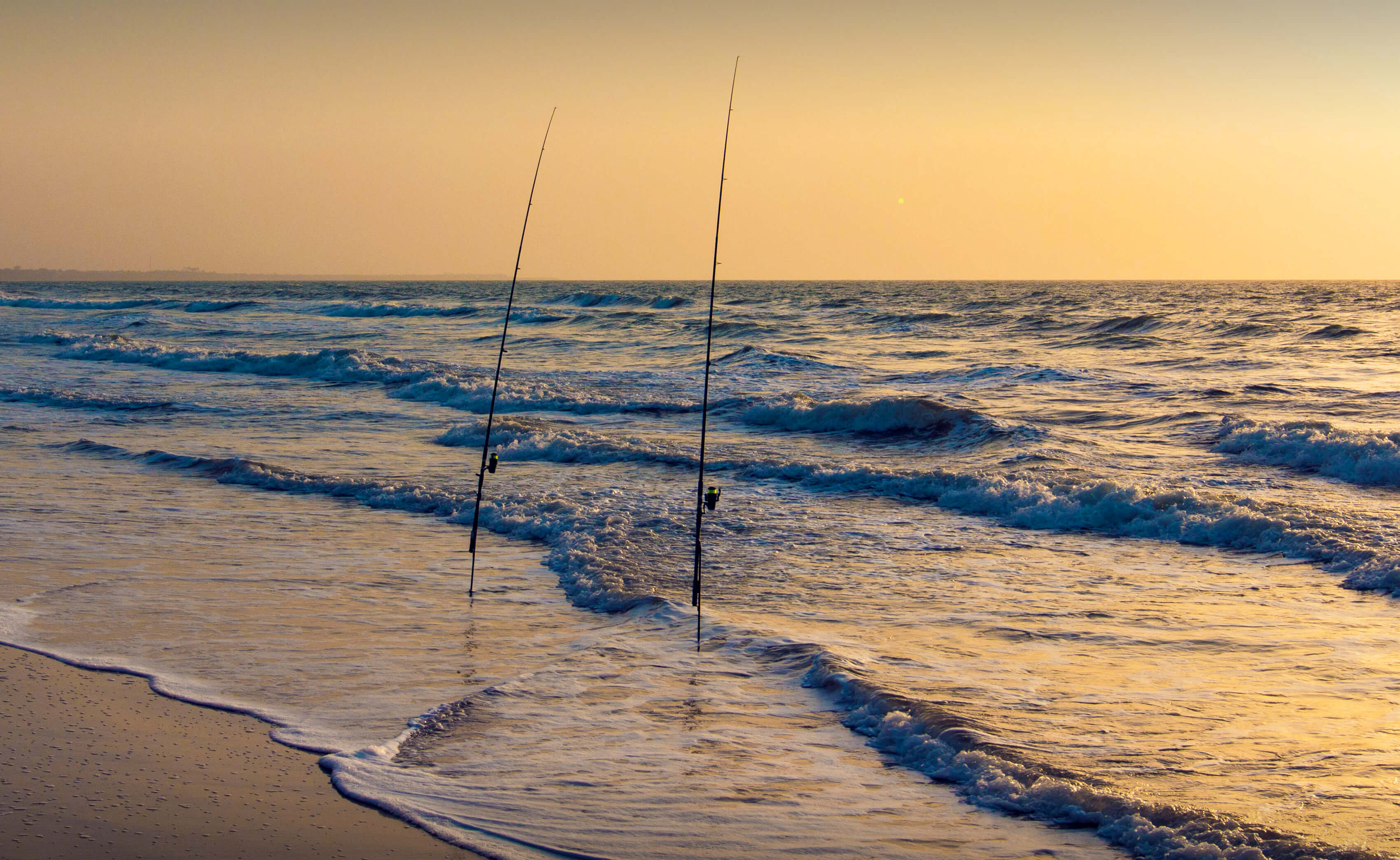Fishing rods on beach