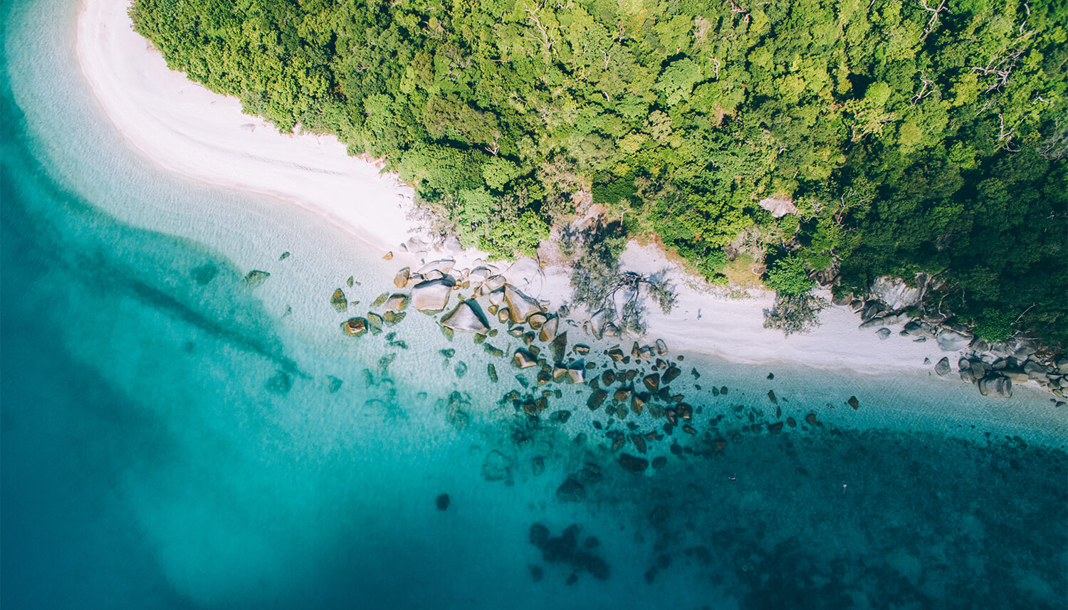 fitzroy island aerial