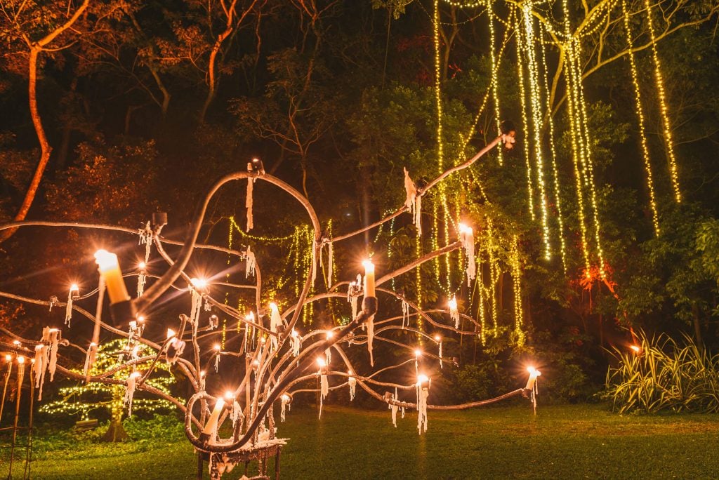 Flames of the Forest lights