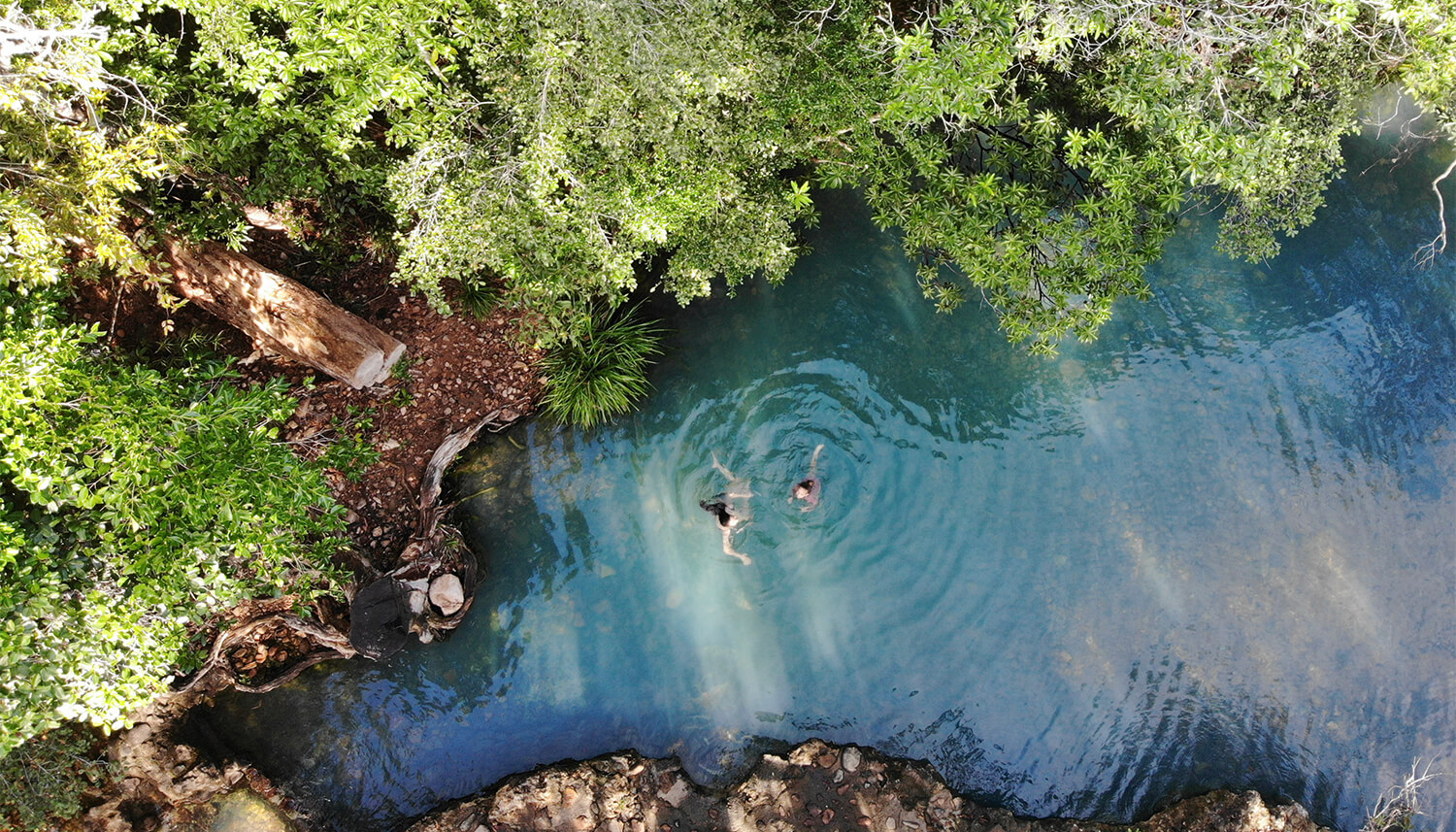 freshwater swimming cardwell spa pools