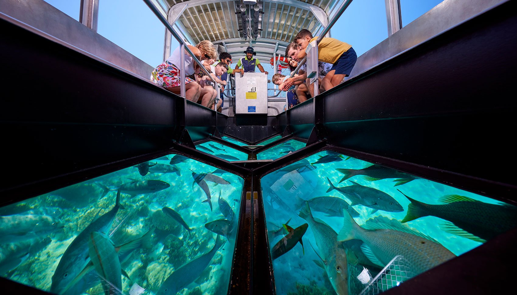 Great Barrier Reef glass-bottom boat tour companies