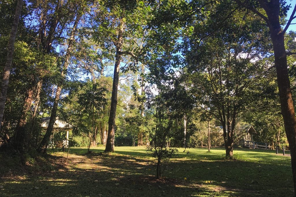 Goldsborough Valley Camping Ground
