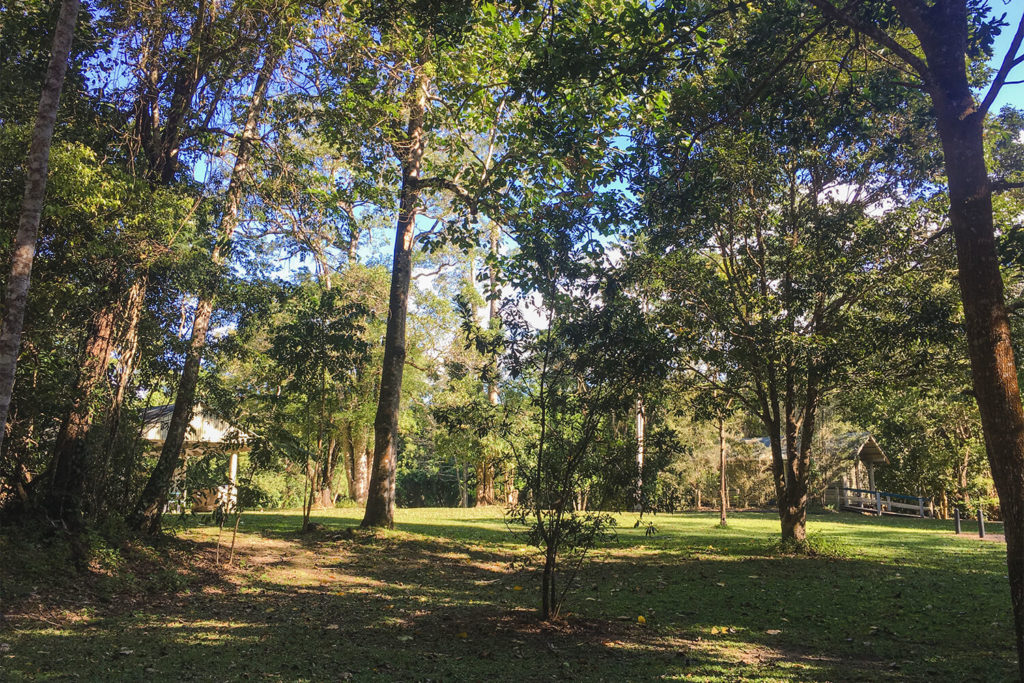 Goldsborough Valley Camping Area