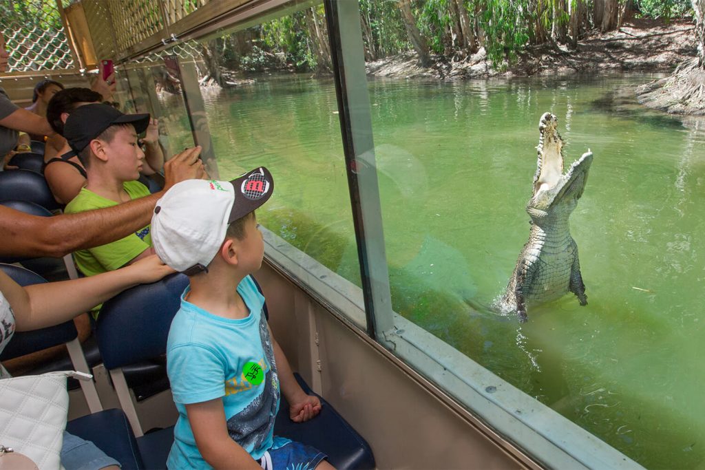 Hartleys Crocodile adventures