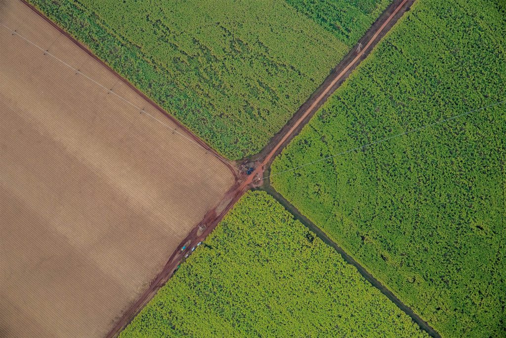 Atherton Tablelands farms from hot air ballon