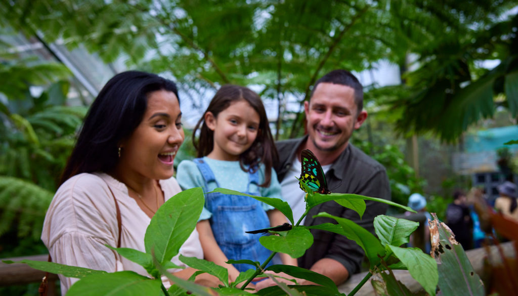 ideas for rainy day activities in cairns