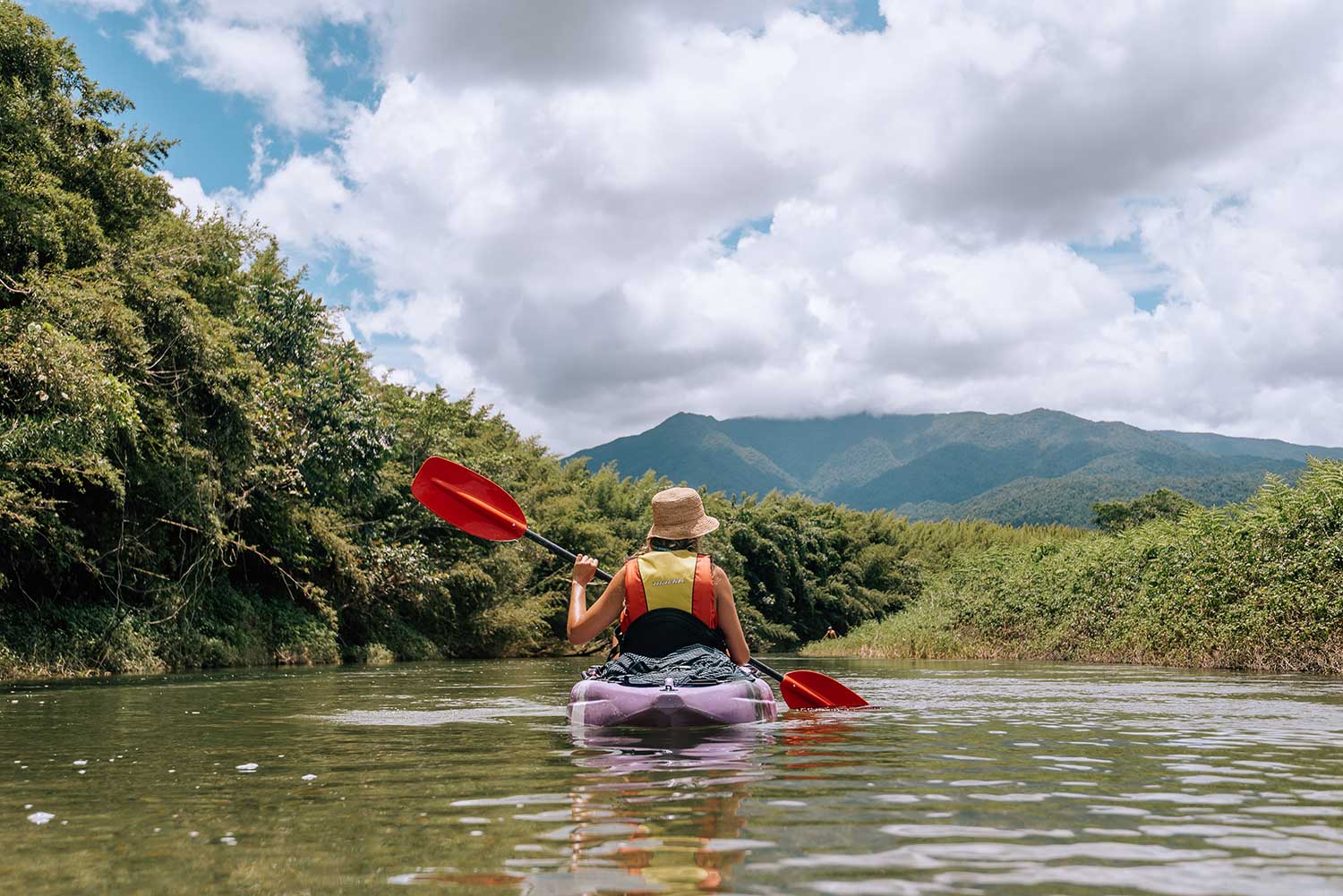 kayaking through rainforest on babinda kayaking