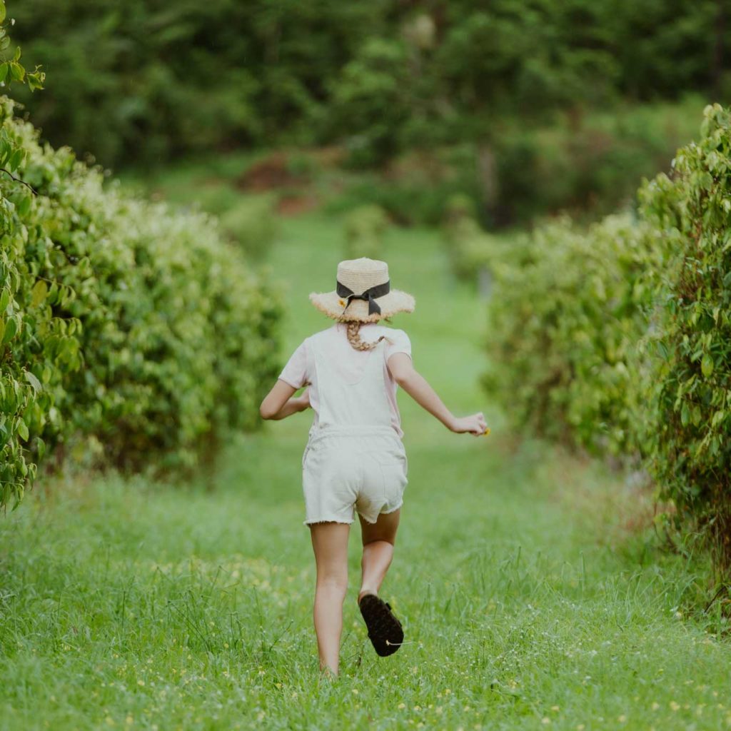 little girl running through fruit forest farm
