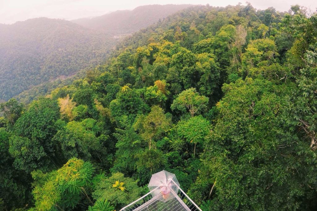 mamu tropical skywalk