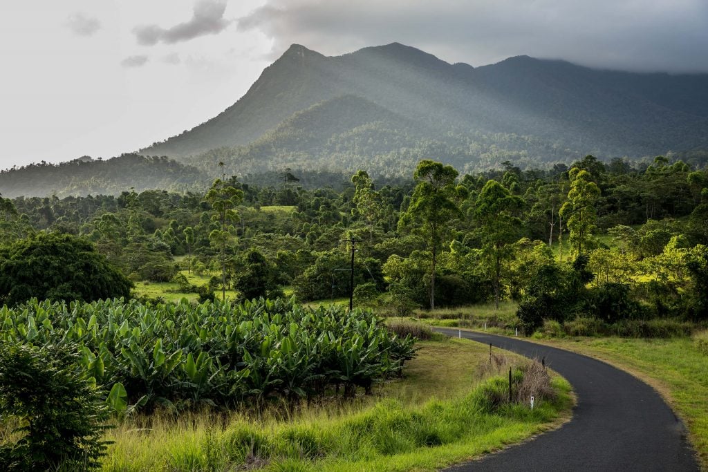 Mount Bartle Frere