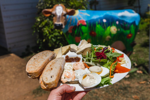 mungalli creek dairy cheese