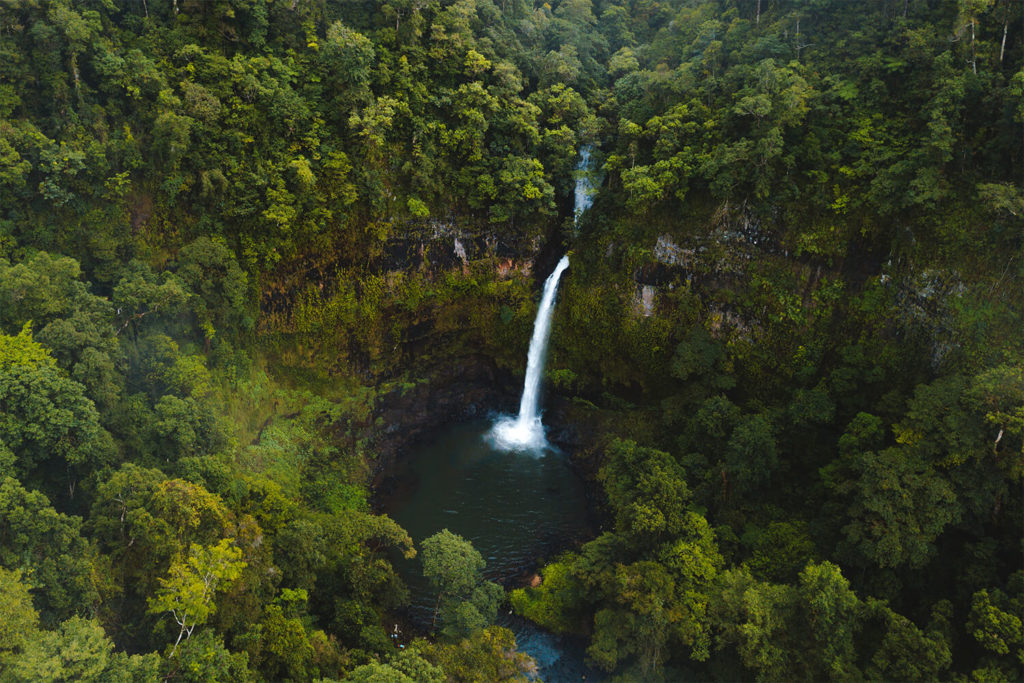 nandroya falls atherton tablelands