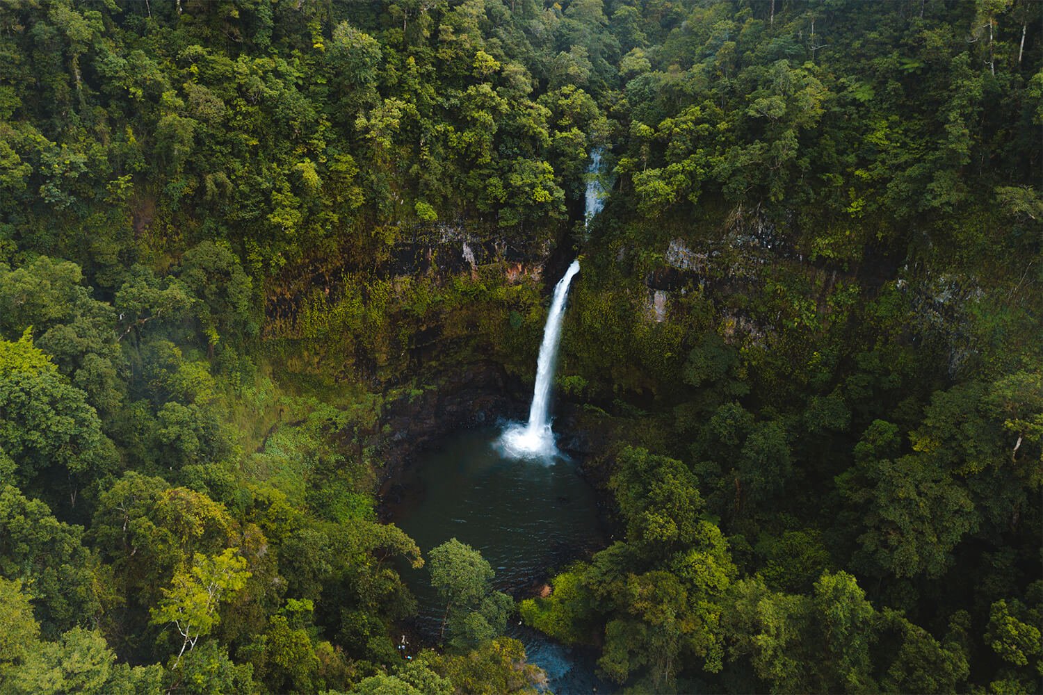 nandroya falls atherton tablelands
