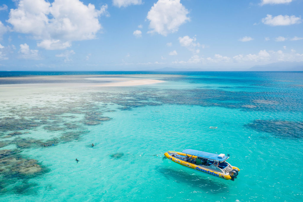 Ocean Safari Cape Tribulation