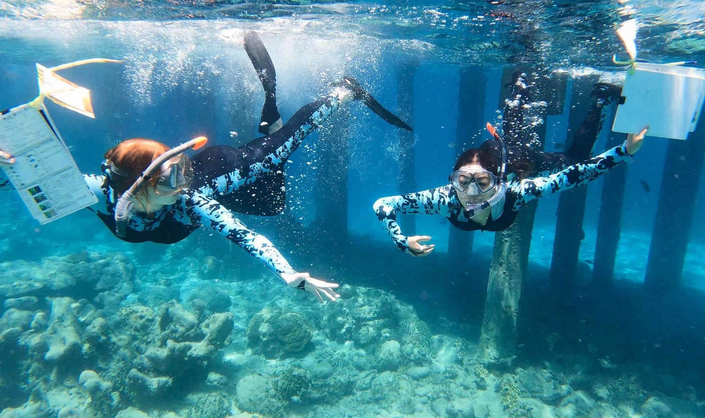 oceans to earth volunteers on reef