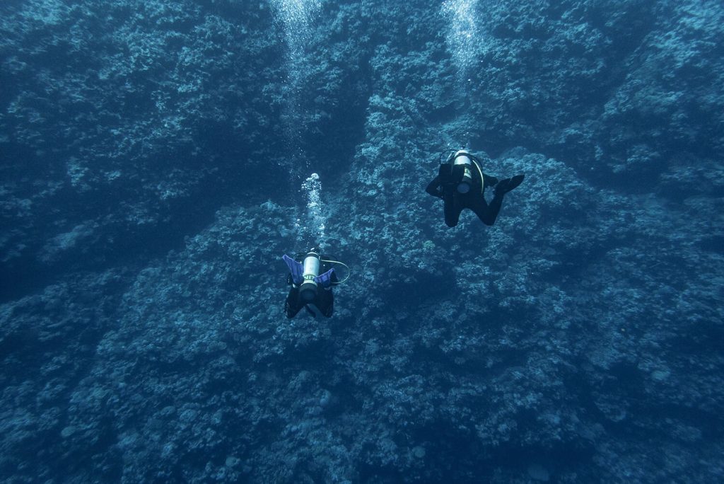 Osprey Reef