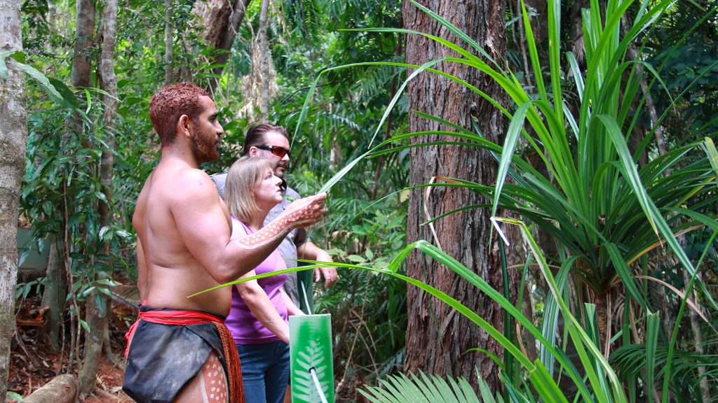 Pamagirri Aboriginal Experience Rainforestation