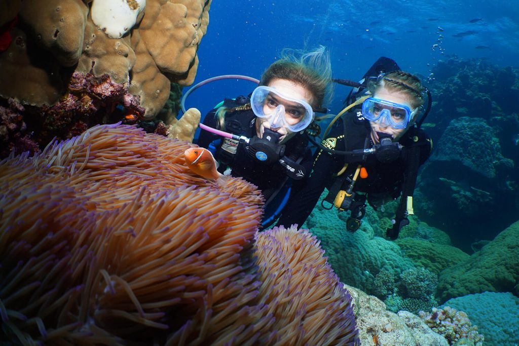Dive with Quicksilver