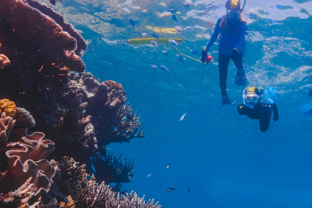 quicksilver snorkel screenshot