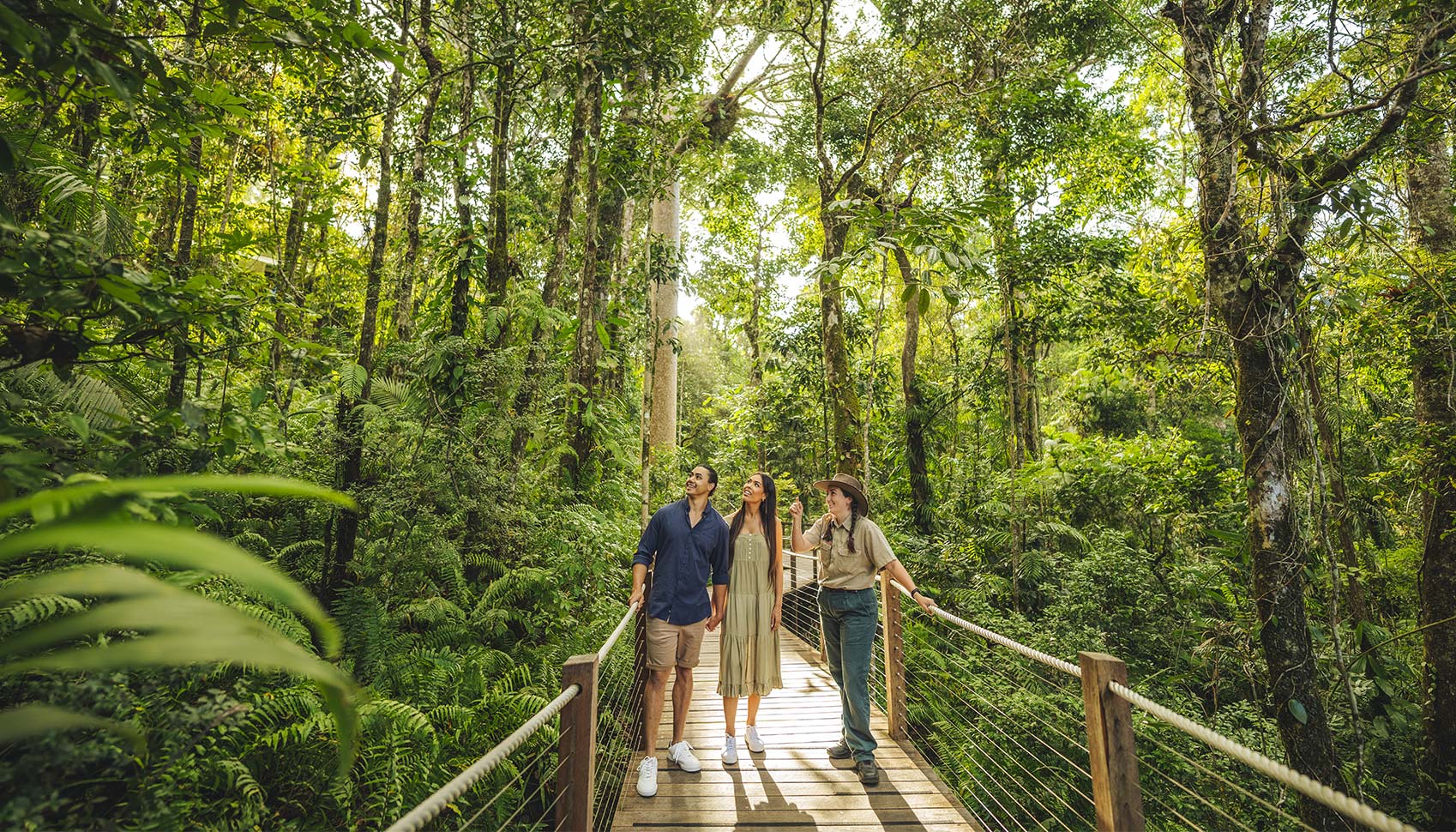 Red Peark Station boardwalk at Skyrail Rainforest Cableway