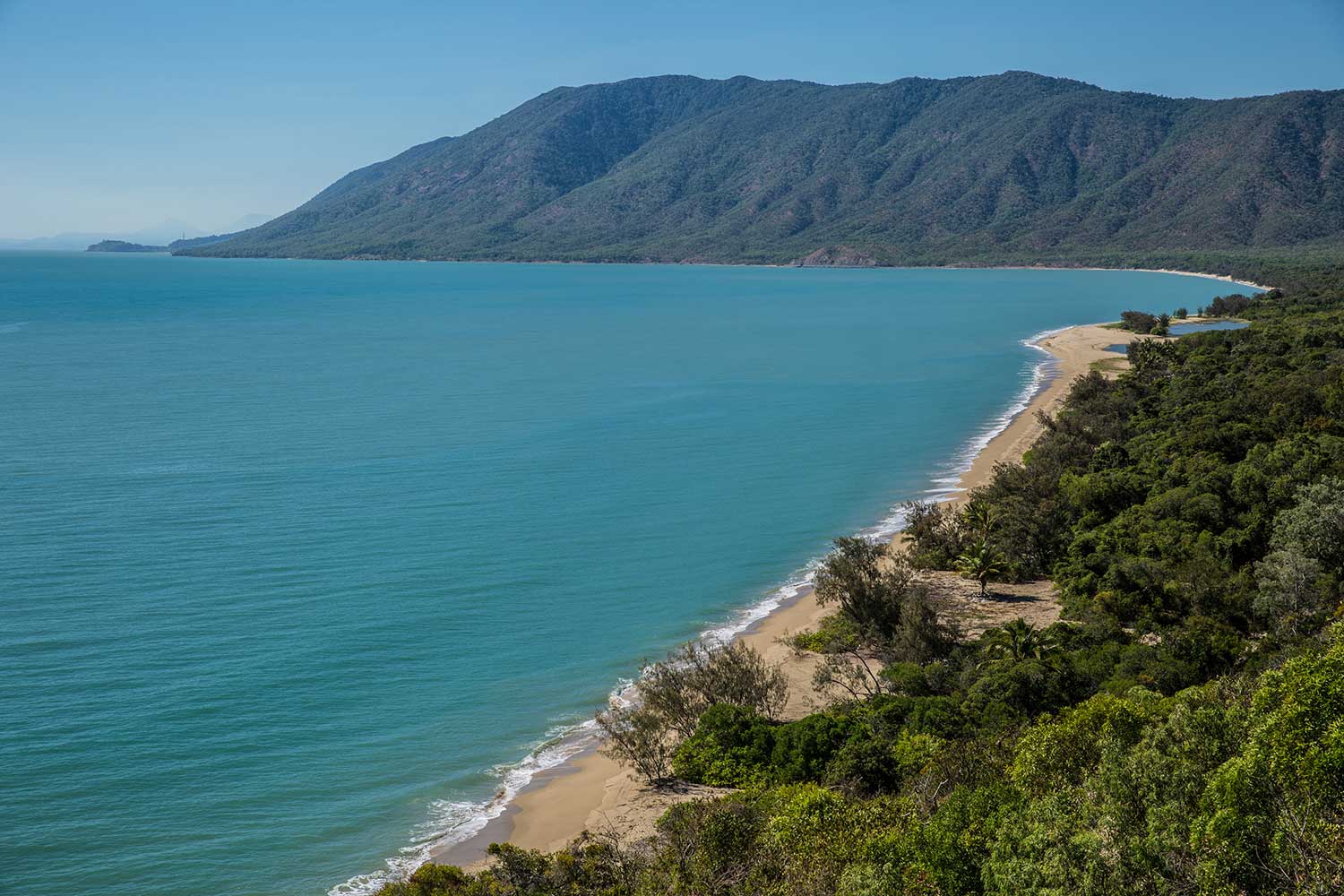 rex lookout wangetti beach