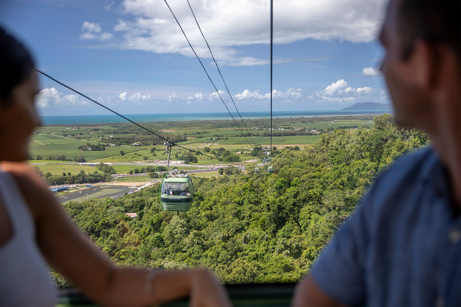 skyrail rainforest cableway with views of cairns