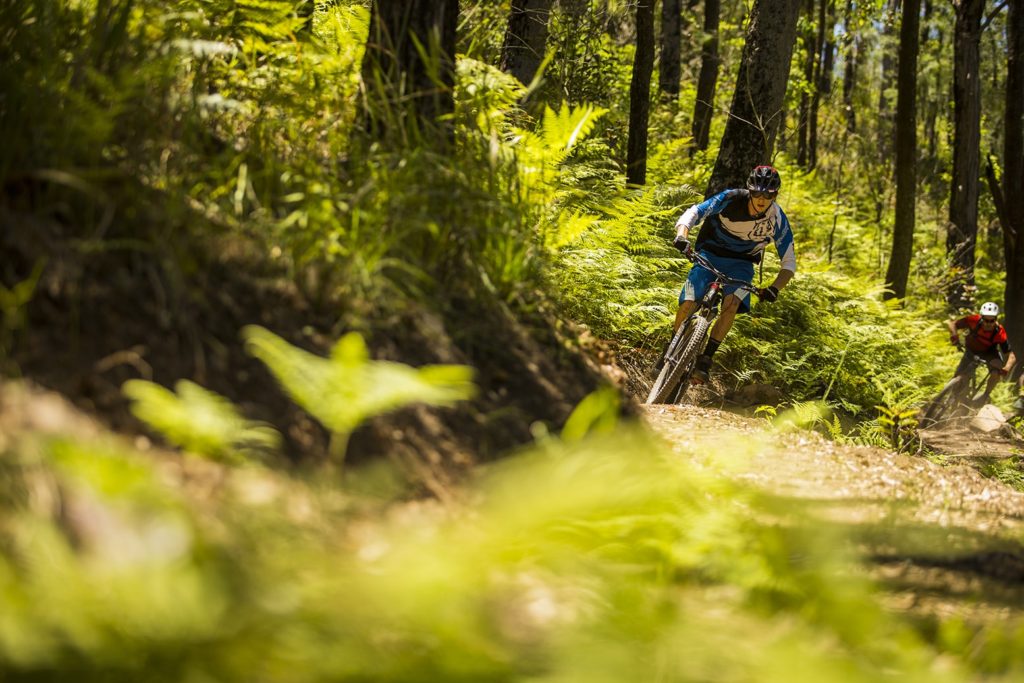 atherton tablelands bike trail