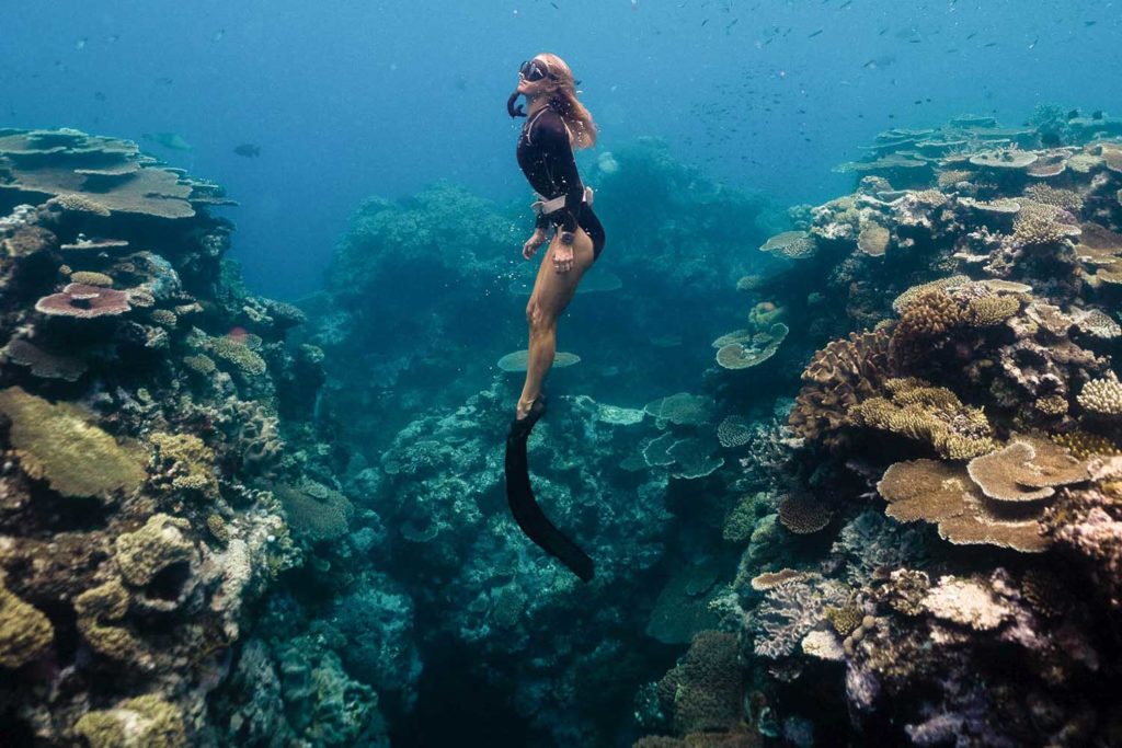 snorkelling on great barrier reef